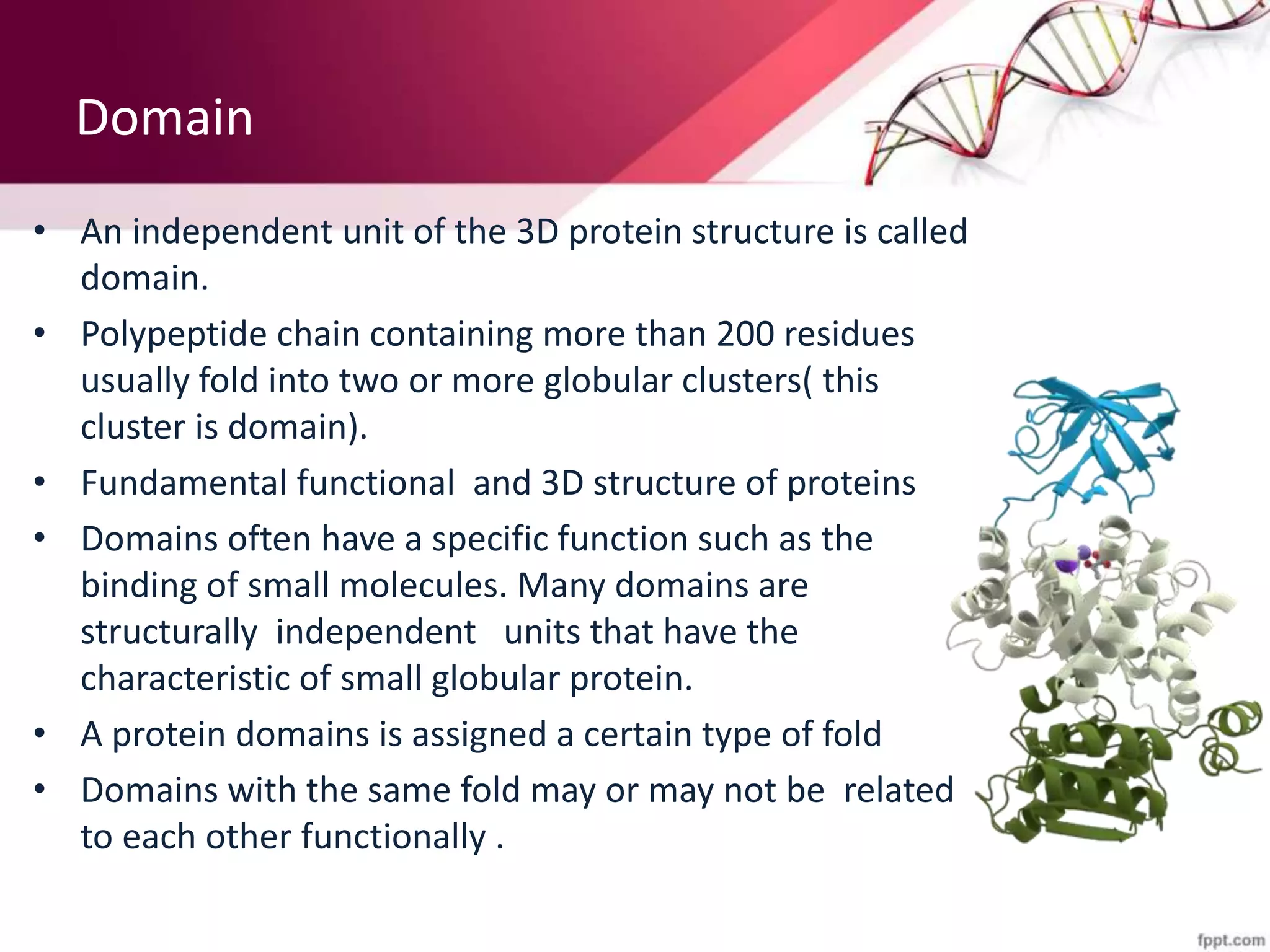 Domain
• An independent unit of the 3D protein structure is called
domain.
• Polypeptide chain containing more than 200 residues
usually fold into two or more globular clusters( this
cluster is domain).
• Fundamental functional and 3D structure of proteins
• Domains often have a specific function such as the
binding of small molecules. Many domains are
structurally independent units that have the
characteristic of small globular protein.
• A protein domains is assigned a certain type of fold
• Domains with the same fold may or may not be related
to each other functionally .
 