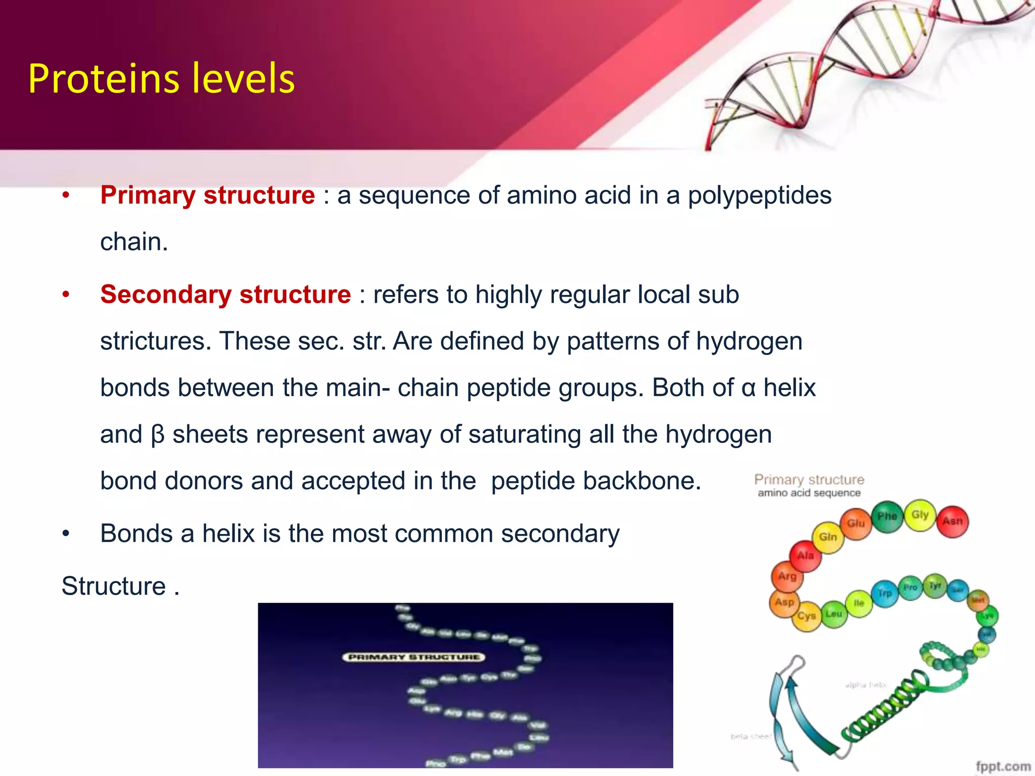 Proteins levels
• Primary structure : a sequence of amino acid in a polypeptides
chain.
• Secondary structure : refers to highly regular local sub
strictures. These sec. str. Are defined by patterns of hydrogen
bonds between the main- chain peptide groups. Both of α helix
and β sheets represent away of saturating all the hydrogen
bond donors and accepted in the peptide backbone.
• Bonds a helix is the most common secondary
Structure .
 