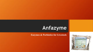 Anfazyme
Enzymes & Porbiotics for Livestock
 
