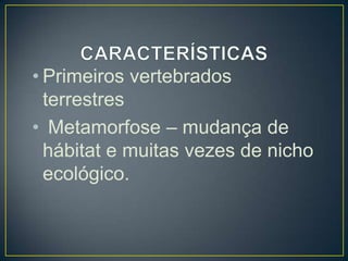 • Primeiros vertebrados
  terrestres
• Metamorfose – mudança de
  hábitat e muitas vezes de nicho
  ecológico.
 