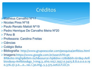 Créditos
 Matheus Carvalho Nº17
 Nicolas Pires Nº18
 Paulo Renato Matioli Nº19
 Pedro Henrique De Carvalho Meira Nº20
 7ºAno B
 Professora: Carolina Freitas
 Ciências
 Colégio Beka
 Bibliografia: http://www.grupoescolar.com/pesquisa/anfibios.html
 Imagens:https://www.google.com.br/search?hl=ptBR&site=imghp&tbm=isch&source=hp&biw=1280&bih=611&q=Anfi
bios&oq=Anfibios&gs_l=img.3..0l10.1057.2937.0.3425.8.8.0.0.0.0.19
0.376.2j1.3.0....0...1ac.1.30.img..5.3.375.soK2LFJZC7s

 