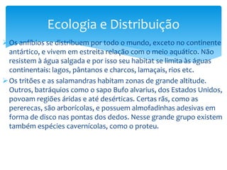 Ecologia e Distribuição
 Os anfíbios se distribuem por todo o mundo, exceto no continente
antártico, e vivem em estreita relação com o meio aquático. Não
resistem à água salgada e por isso seu habitat se limita às águas
continentais: lagos, pântanos e charcos, lamaçais, rios etc.
 Os tritões e as salamandras habitam zonas de grande altitude.
Outros, batráquios como o sapo Bufo alvarius, dos Estados Unidos,
povoam regiões áridas e até desérticas. Certas rãs, como as
pererecas, são arborícolas, e possuem almofadinhas adesivas em
forma de disco nas pontas dos dedos. Nesse grande grupo existem
também espécies cavernícolas, como o proteu.

 