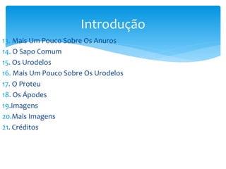 Introdução
13. Mais Um Pouco Sobre Os Anuros
14. O Sapo Comum
15. Os Urodelos
16. Mais Um Pouco Sobre Os Urodelos
17. O Proteu
18. Os Ápodes
19.Imagens
20.Mais Imagens
21. Créditos

 