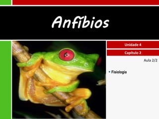 Aula 2/2
 Fisiologia
Unidade 4
Capítulo 2
Anfíbios
 