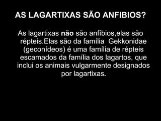 AS LAGARTIXAS SÃO ANFIBIOS? As lagartixas  não  são anfíbios,elas são répteis.Elas são da família  Gekkonidae (geconídeos) é uma família de répteis escamados da família dos lagartos, que inclui os animais vulgarmente designados por lagartixas . 
