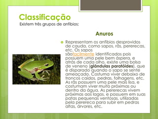 Classificação
 Representam os anfibios desprovidos
de cauda, como sapos, rãs, pererecas,
etc. Os sapos
sãofacilmente identificados pois
possuem uma pele bem áspera, e
atrás de cada olho, existe uma bolsa
de veneno (glândulas paratóides), que
é disparado quando o sapo se sente
ameaçado. Costuma viver debaixo de
troncos caídos, pedras, folhagens, etc.
As rãs possuem uma pele mais lisa, e
costumam viver muito próximas ou
dentro da água. As pererecas vivem
próximas aos lagos, e possuem em suas
patas pequenas ventosas, utilizadas
pela perereca para subir em pedras
altas, árvores, etc.
Existem três grupos de anfibios:
Anuros
 