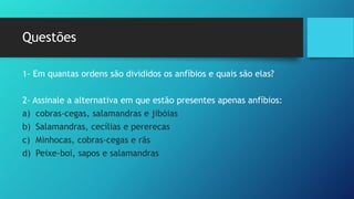 Questões
1- Em quantas ordens são divididos os anfíbios e quais são elas?
2- Assinale a alternativa em que estão presentes apenas anfíbios:
a) cobras-cegas, salamandras e jibóias
b) Salamandras, cecílias e pererecas
c) Minhocas, cobras-cegas e rãs
d) Peixe-boi, sapos e salamandras
 