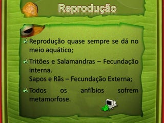 Reprodução quase sempre se dá no 
meio aquático; 
Tritões e Salamandras – Fecundação 
interna. 
Sapos e Rãs – Fecundação Externa; 
Todos os anfíbios sofrem 
metamorfose. 
 