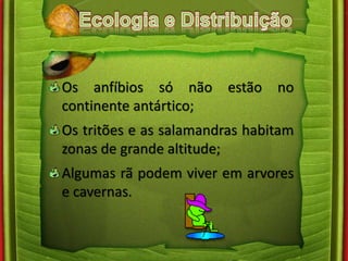 Os anfíbios só não estão no 
continente antártico; 
Os tritões e as salamandras habitam 
zonas de grande altitude; 
Algumas rã podem viver em arvores 
e cavernas. 
 