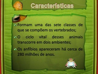 Formam uma das sete classes de 
que se compõem os vertebrados; 
O ciclo vital desses animais 
transcorre em dois ambientes; 
Os anfíbios apareceram há cerca de 
280 milhões de anos. 
 