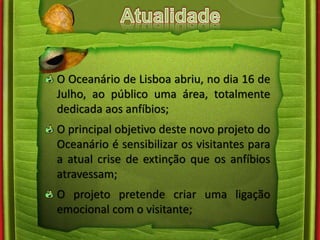 O Oceanário de Lisboa abriu, no dia 16 de 
Julho, ao público uma área, totalmente 
dedicada aos anfíbios; 
O principal objetivo deste novo projeto do 
Oceanário é sensibilizar os visitantes para 
a atual crise de extinção que os anfíbios 
atravessam; 
O projeto pretende criar uma ligação 
emocional com o visitante; 
 