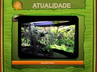 Aquaterráreo. 
 