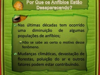 Nas últimas décadas tem ocorrido 
uma diminuição de algumas 
populações de anfíbios; 
Não se sabe ao certo o motivo desse 
fenômeno. 
Mudanças climáticas, devastação de 
florestas, poluição do ar e outros 
fatores podem estar contribuindo. 
 