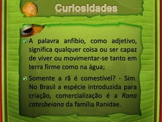 A palavra anfíbio, como adjetivo, 
significa qualquer coisa ou ser capaz 
de viver ou movimentar-se tanto em 
terra firme como na água; 
Somente a rã é comestível? - Sim. 
No Brasil a espécie introduzida para 
criação, comercialização é a Rana 
catesbeiana da família Ranidae. 
 