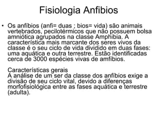 Fisiologia Anfibios Os anfíbios (anfi= duas ; bios= vida) são animais vertebrados, pecilotérmicos que não possuem bolsa amniótica agrupados na classe Amphibia. A característica mais marcante dos seres vivos da classe é o seu ciclo de vida dividido em duas fases: uma aquática e outra terrestre. Estão identificadas cerca de 3000 espécies vivas de amfíbios. Características gerais A análise de um ser da classe dos anfíbios exige a divisão de seu ciclo vital, devido a diferenças morfofisiológica entre as fases aquática e terrestre (adulta). 