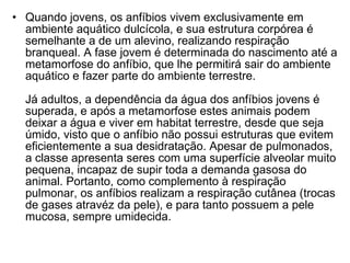 Quando jovens, os anfíbios vivem exclusivamente em ambiente aquático dulcícola, e sua estrutura corpórea é semelhante a de um alevino, realizando respiração branqueal. A fase jovem é determinada do nascimento até a metamorfose do anfíbio, que lhe permitirá sair do ambiente aquático e fazer parte do ambiente terrestre. Já adultos, a dependência da água dos anfíbios jovens é superada, e após a metamorfose estes animais podem deixar a água e viver em habitat terrestre, desde que seja úmido, visto que o anfíbio não possui estruturas que evitem eficientemente a sua desidratação. Apesar de pulmonados, a classe apresenta seres com uma superfície alveolar muito pequena, incapaz de supir toda a demanda gasosa do animal. Portanto, como complemento à respiração pulmonar, os anfíbios realizam a respiração cutânea (trocas de gases atravéz da pele), e para tanto possuem a pele mucosa, sempre umidecida. 