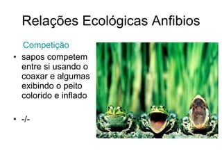 Relações Ecológicas Anfibios Competição   sapos competem entre si usando o coaxar e algumas exibindo o peito colorido e inflado -/-  