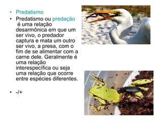 Predatismo   Predatismo ou  predação  é uma relação desarmônica em que um ser vivo, o predador captura e mata um outro ser vivo, a presa, com o fim de se alimentar com a carne dele. Geralmente é uma relação interespecífica ou seja uma relação que ocorre entre espécies diferentes.  -/+ 