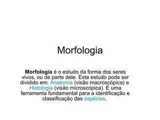 Morfologia Morfologia  é o estudo da forma dos seres vivos, ou de parte dele. Este estudo pode ser dividido em:  Anatomia  (visão macroscópica) e  Histologia  (visão microscópica). É uma ferramenta fundamental para a identificação e classificação das  espécies .  