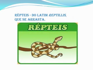 Répteis - do latim reptillis,
que se arrasta.

 