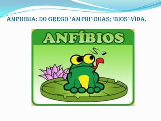 Amphibia: do grego ‘amphi’-duas; ‘bios’-vida.

 