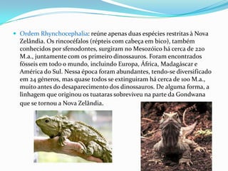  Ordem Rhynchocephalia: reúne apenas duas espécies restritas à Nova

Zelândia. Os rincocéfalos (répteis com cabeça em bico), também
conhecidos por sfenodontes, surgiram no Mesozóico há cerca de 220
M.a., juntamente com os primeiro dinossauros. Foram encontrados
fósseis em todo o mundo, incluindo Europa, África, Madagáscar e
América do Sul. Nessa época foram abundantes, tendo-se diversificado
em 24 géneros, mas quase todos se extinguiram há cerca de 100 M.a.,
muito antes do desaparecimento dos dinossauros. De alguma forma, a
linhagem que originou os tuataras sobreviveu na parte da Gondwana
que se tornou a Nova Zelândia.

 