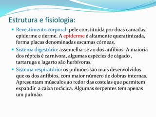 Estrutura e fisiologia:
 Revestimento corporal: pele constituída por duas camadas,

epiderme e derme. A epiderme é altamente queratinizada,
forma placas denominadas escamas córneas.
 Sistema digestório: assemelha-se ao dos anfíbios. A maioria
dos répteis é carnívora, algumas espécies de cágado ,
tartaruga e lagarto são herbívoras.
 Sistema respiratório: os pulmões são mais desenvolvidos
que os dos anfíbios, com maior número de dobras internas.
Apresentam músculos ao redor das costelas que permitem
expandir a caixa torácica. Algumas serpentes tem apenas
um pulmão.

 