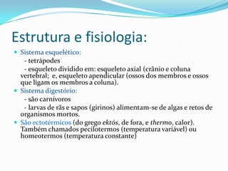 Estrutura e fisiologia:
 Sistema esquelético:

- tetrápodes
- esqueleto dividido em: esqueleto axial (crânio e coluna
vertebral; e, esqueleto apendicular (ossos dos membros e ossos
que ligam os membros a coluna).
 Sistema digestório:
- são carnívoros
- larvas de rãs e sapos (girinos) alimentam-se de algas e retos de
organismos mortos.
 São ectotérmicos (do grego ektós, de fora, e thermo, calor).
Também chamados pecilotermos (temperatura variável) ou
homeotermos (temperatura constante)

 