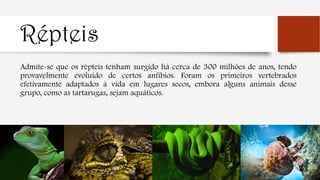 Répteis
Admite-se que os répteis tenham surgido há cerca de 300 milhões de anos, tendo
provavelmente evoluído de certos anfíbios. Foram os primeiros vertebrados
efetivamente adaptados à vida em lugares secos, embora alguns animais desse
grupo, como as tartarugas, sejam aquáticos.
 