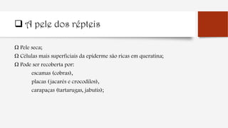  A pele dos répteis
Ω Pele seca;
Ω Células mais superficiais da epiderme são ricas em queratina;
Ω Pode ser recoberta por:
escamas (cobras),
placas (jacarés e crocodilos),
carapaças (tartarugas, jabutis);
 