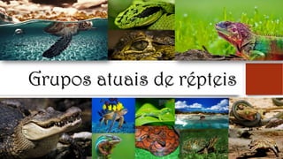 Grupos atuais de répteis
 