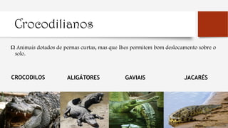 Crocodilianos
Ω Animais dotados de pernas curtas, mas que lhes permitem bom deslocamento sobre o
solo.
JACARÉSCROCODILOS ALIGÁTORES GAVIAIS
 