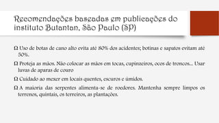Recomendações baseadas em publicações do
instituto Butantan, São Paulo (SP)
Ω Uso de botas de cano alto evita até 80% dos acidentes; botinas e sapatos evitam até
50%.
Ω Proteja as mãos. Não colocar as mãos em tocas, cupinzeiros, ocos de troncos... Usar
luvas de aparas de couro
Ω Cuidado ao mexer em locais quentes, escuros e úmidos.
Ω A maioria das serpentes alimenta-se de roedores. Mantenha sempre limpos os
terrenos, quintais, os terreiros, as plantações.
 