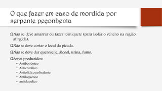 O que fazer em caso de mordida por
serpente peçonhenta
ΩNão se deve amarrar ou fazer torniquete (para isolar o veneno na região
atingida).
ΩNão se deve cortar o local da picada.
ΩNão se deve dar querosene, álcool, urina, fumo.
ΩSoros produzidos:
• Antibotrópico
• Anticrotálico
• Antiofídico polivalente
• Antilaquético
• antielapídico
 