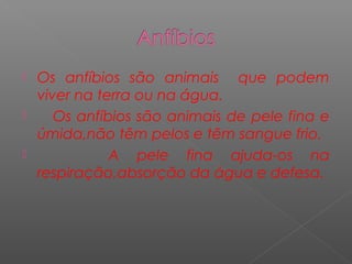  Os anfíbios são animais que podem
  viver na terra ou na água.
    Os anfíbios são animais de pele fina e
  úmida,não têm pelos e têm sangue frio.
            A pele fina ajuda-os na
  respiração,absorção da água e defesa.
 