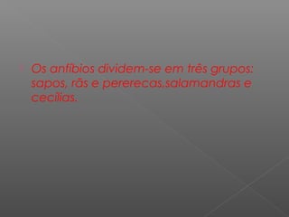    Os anfíbios dividem-se em três grupos:
    sapos, rãs e pererecas,salamandras e
    cecílias.
 