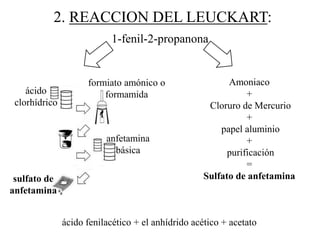 2. REACCION DEL LEUCKART:
                           1-fenil-2-propanona


                     formiato amónico o                   Amoniaco
    ácido                formamida                             +
 clorhídrico                                         Cloruro de Mercurio
                                                               +
                                                        papel aluminio
                          anfetamina                           +
                            básica                        purificación
                                                               =
 sulfato de                                         Sulfato de anfetamina
anfetamina


               ácido fenilacético + el anhídrido acético + acetato
 