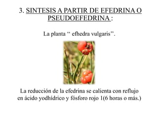 3. SINTESIS A PARTIR DE EFEDRINA O
        PSEUDOEFEDRINA :

          La planta ‘‘ efhedra vulgaris’’.




 La reducción de la efedrina se calienta con reflujo
en ácido yodhídrico y fósforo rojo 1(6 horas o más.)
 