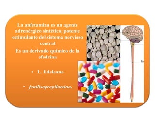 La anfetamina es un agente
 adrenérgico sintético, potente
estimulante del sistema nervioso
             central
  Es un derivado químico de la
            efedrina

        • L. Edeleano

    • fenilisopropilamina.
 