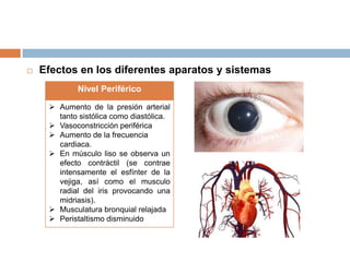 

Efectos en los diferentes aparatos y sistemas
Nivel Periférico
 Aumento de la presión arterial
tanto sistólica como diastólica.
 Vasoconstricción periférica
 Aumento de la frecuencia
cardiaca.
 En músculo liso se observa un
efecto contráctil (se contrae
intensamente el esfínter de la
vejiga, así como el musculo
radial del iris provocando una
midriasis).
 Musculatura bronquial relajada
 Peristaltismo disminuido

 