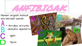 ANFIBIOAKHemen argazki batzuk
eta beraien izenak:
- Arrabio arrunta.
- Uhandre alpetarra.
- Igela.
- Apoa.
 