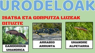ISATSA ETA GORPUTZA LUZEAK
DITUZTE
ARRABIO
ARRUNTA
UHANDRE
ALPETARRAGANDORDUN
UHANDREA
 