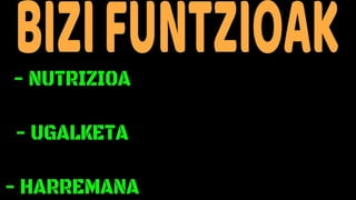 ANFIBIOAK 1D