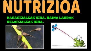 HARAGIJALEAK DIRA, BAINA LARBAK
BELARJALEAK DIRA.
 