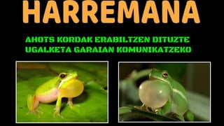 AHOTS KORDAK ERABILTZEN DITUZTE
UGALKETA GARAIAN KOMUNIKATZEKO
 