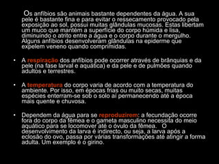 O s anfíbios são animais bastante dependentes da água. A sua pele é bastante fina e para evitar o ressecamento provocado pela exposição ao sol, possui muitas glândulas mucosas. Estas libertam um muco que mantém a superfície do corpo húmida e lisa, diminuindo o atrito entre a água e o corpo durante o mergulho.   Alguns anfíbios desenvolveram glândulas na epiderme que expelem veneno quando comprimidas. A  respiração  dos anfíbios pode ocorrer através de brânquias e da pele (na fase larval e aquática) e da pele e de pulmões quando adultos e terrestres. A  temperatura  do corpo varia de acordo com a temperatura do ambiente. Por isso, em épocas frias ou muito secas, muitas espécies enterram-se sob o solo aí permanecendo até a época mais quente e chuvosa.  Dependem da água para se  reproduzirem : a fecundação ocorre fora do corpo da fêmea e o gameta masculino necessita do meio aquático para se locomover até o óvulo da fêmea.   O desenvolvimento da larva é indirecto, ou seja, a larva após a eclosão do ovo, passa por várias transformações até atingir a forma adulta. Um exemplo é o girino. 