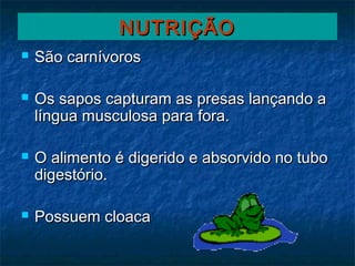 NUTRIÇÃO
   São carnívoros

   Os sapos capturam as presas lançando a
    língua musculosa para fora.

   O alimento é digerido e absorvido no tubo
    digestório.

   Possuem cloaca
 