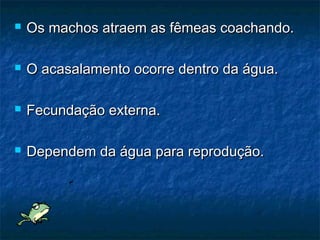    Os machos atraem as fêmeas coachando.

   O acasalamento ocorre dentro da água.

   Fecundação externa.

   Dependem da água para reprodução.
 