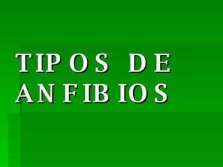 TIPOS DE ANFIBIOS 