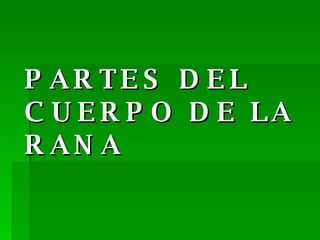 PARTES DEL CUERPO DE LA RANA 